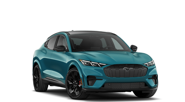 Mustang Mach-E® vehicle